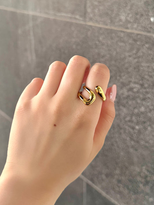 Anillo