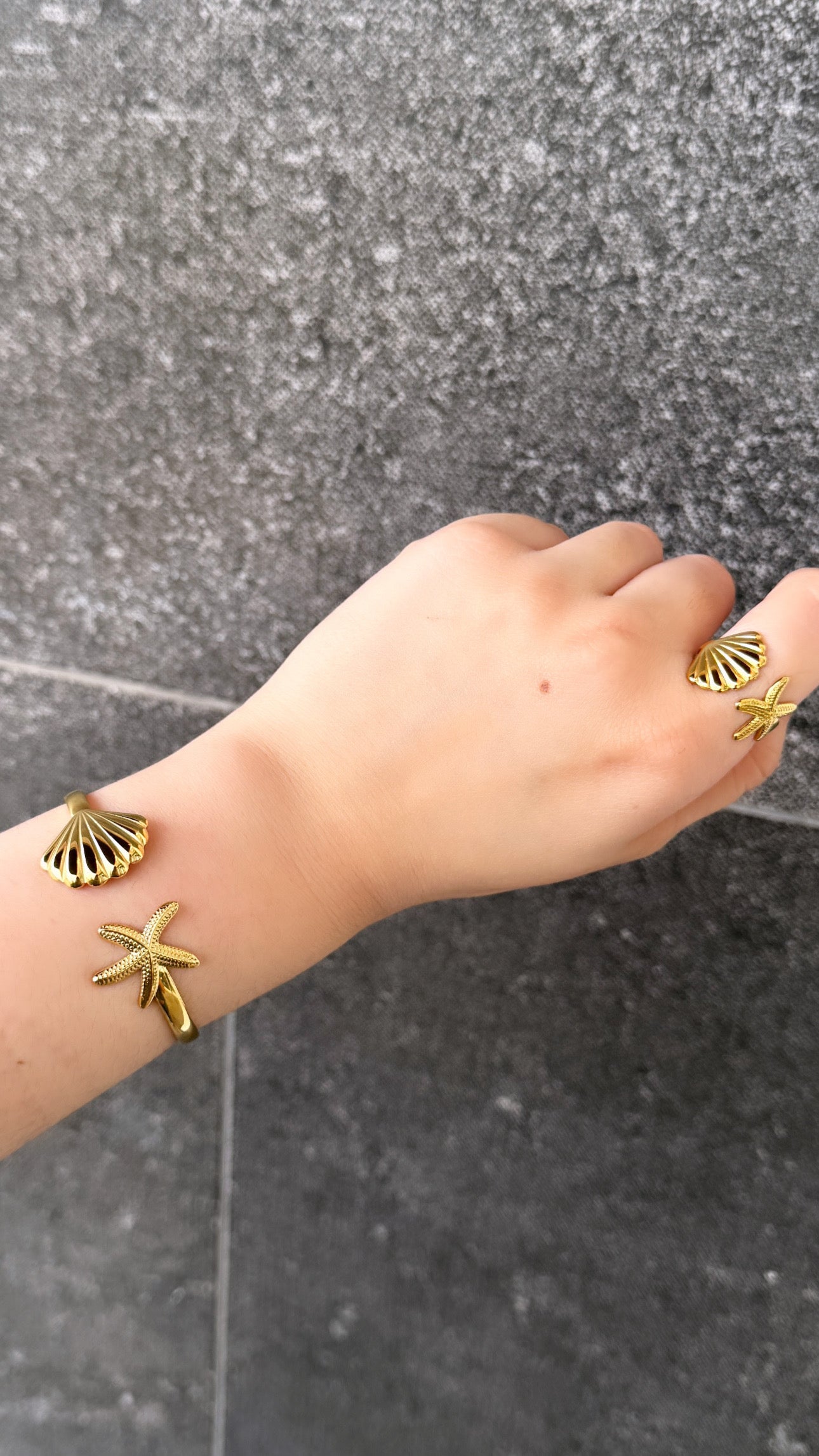Concha y estrella de mar